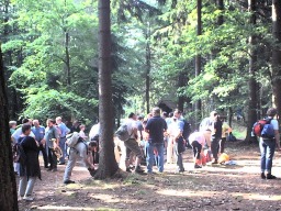 Zweite Rast